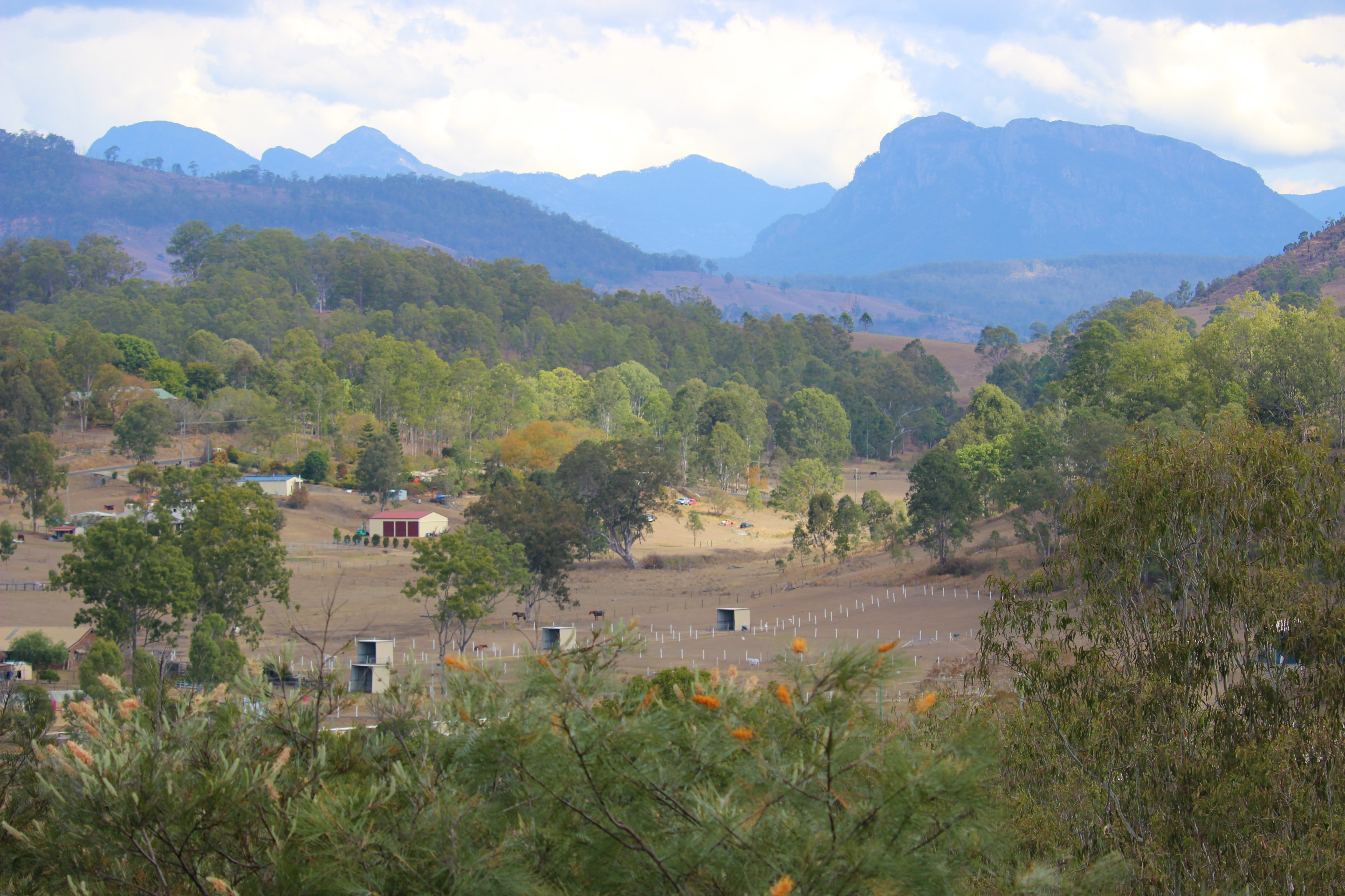 98-102 FRANCIS CL, KOORALBYN, 4285