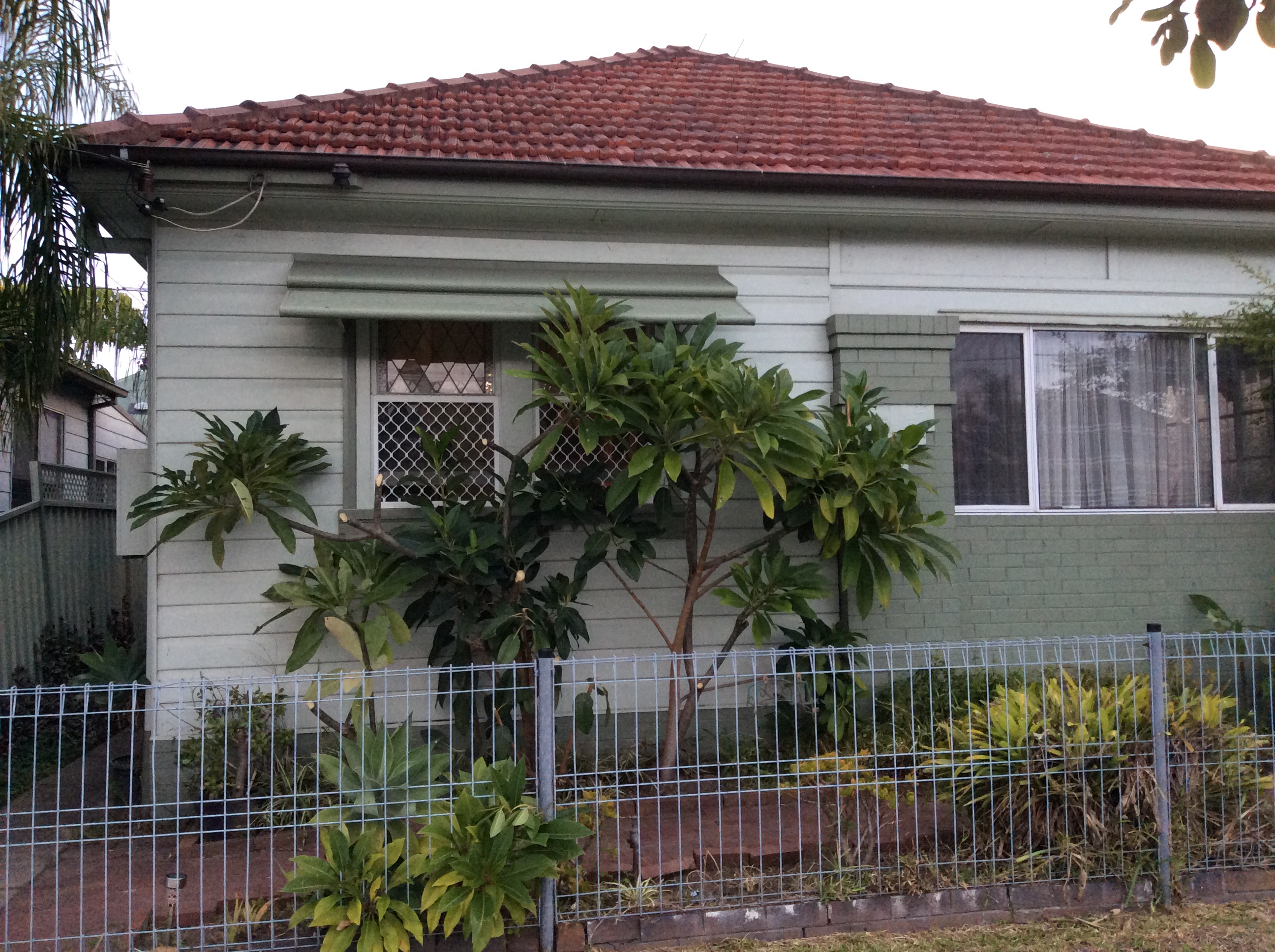 17 BIBBY STREET, HAMILTON, 2303