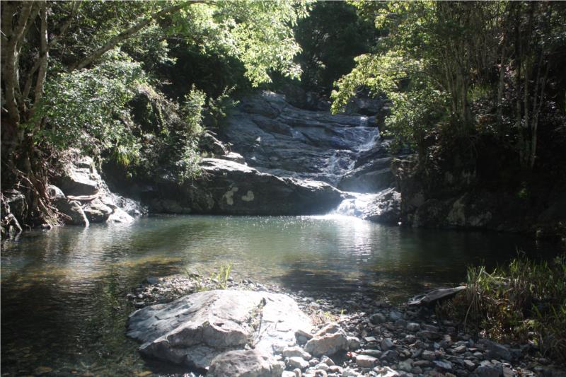 207 HARPER CREEK, CONONDALE, 4552