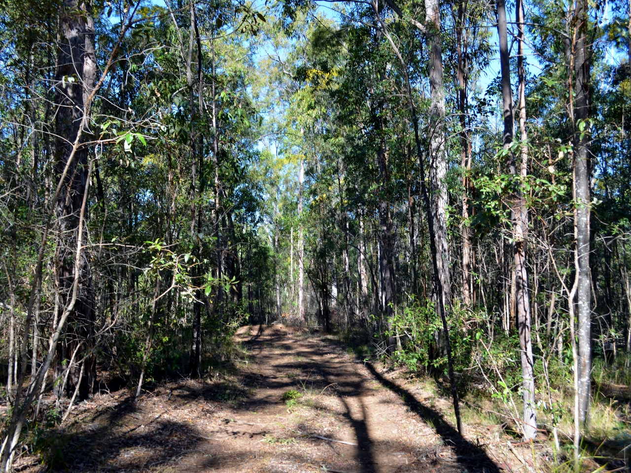 532 WHITE MOUNTAIN ROAD, WHITE MOUNTAIN, 4352