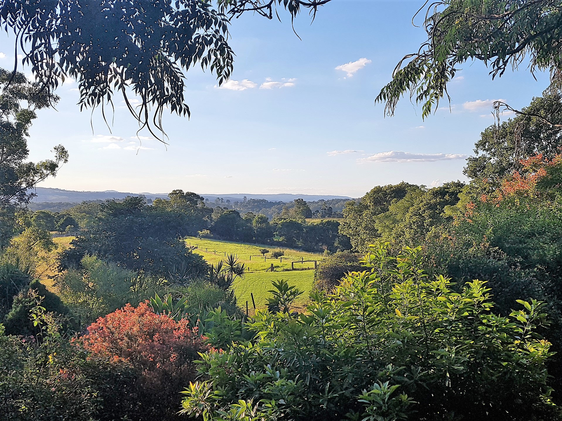 24 SCHWAGER RD, RAVENSBOURNE, 4352