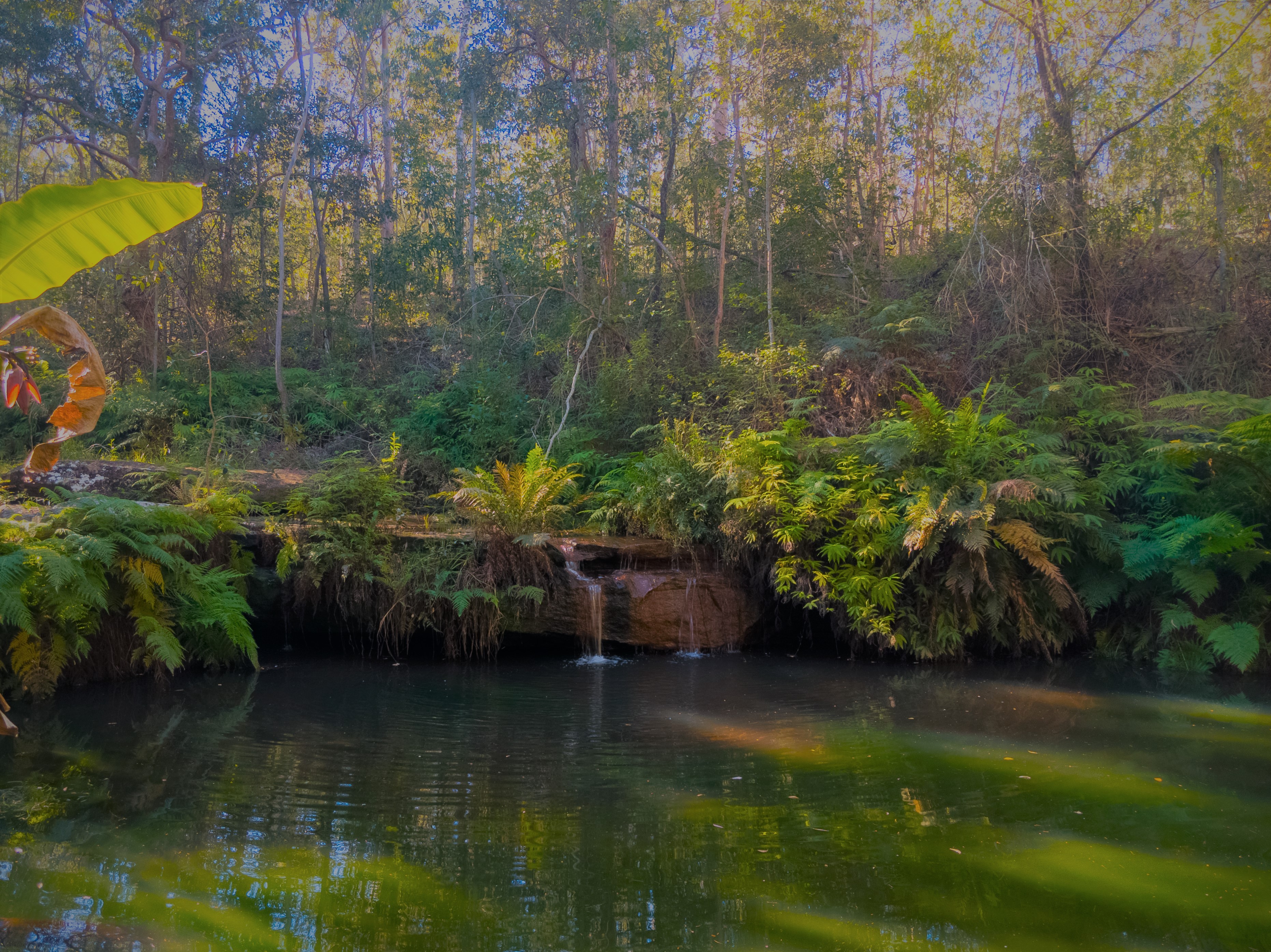 250 MOUNT MULGOWIE RD, BUARABA, 4311