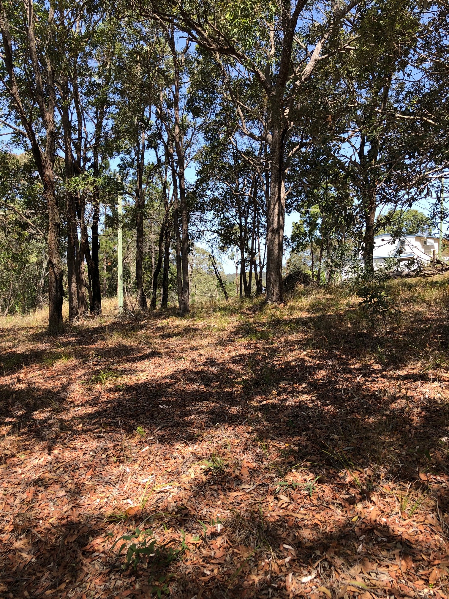 7 CRESCENT DR, RUSSELL ISLAND, 4184