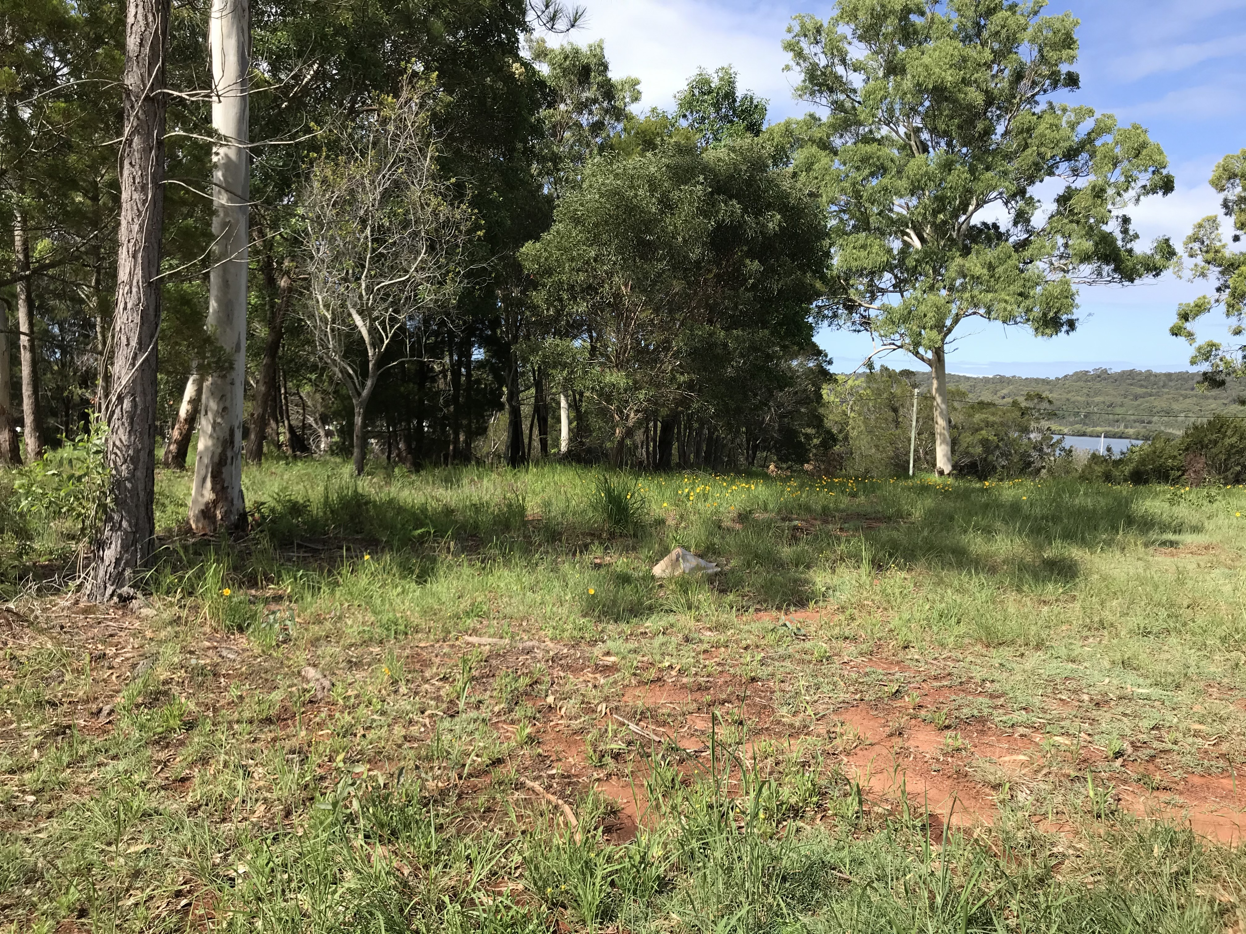 21 MAIN VIEW DR, RUSSELL ISLAND, 4184