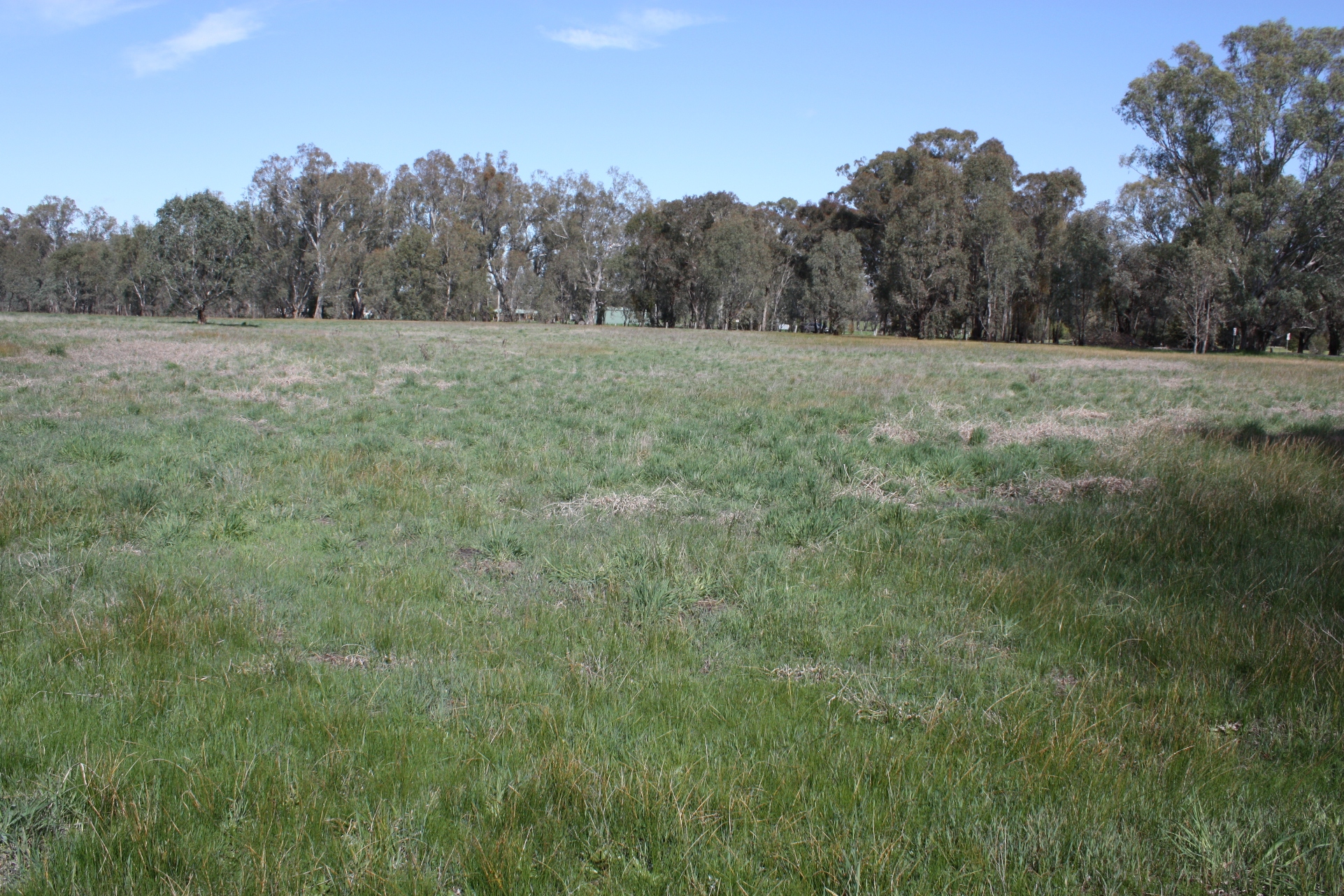 195 GRANT DRIVE, BENALLA, 3672