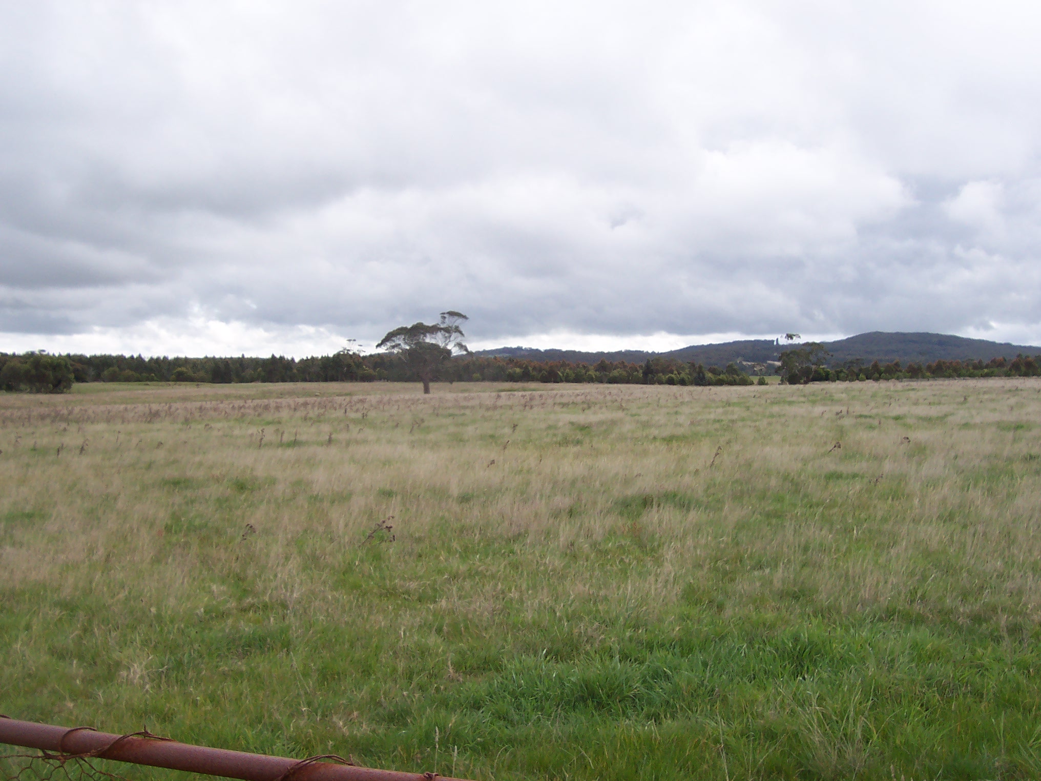  CORRIES LANE, MOUNT EGERTON, 3352