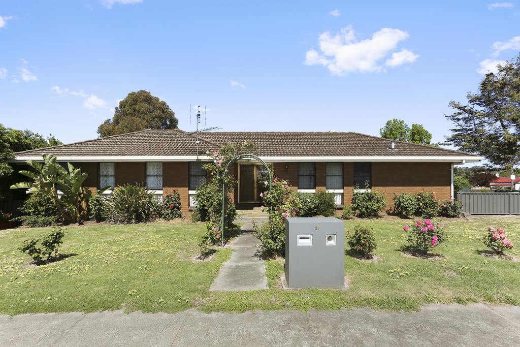 21 POPE STREET, HAMILTON, 3300