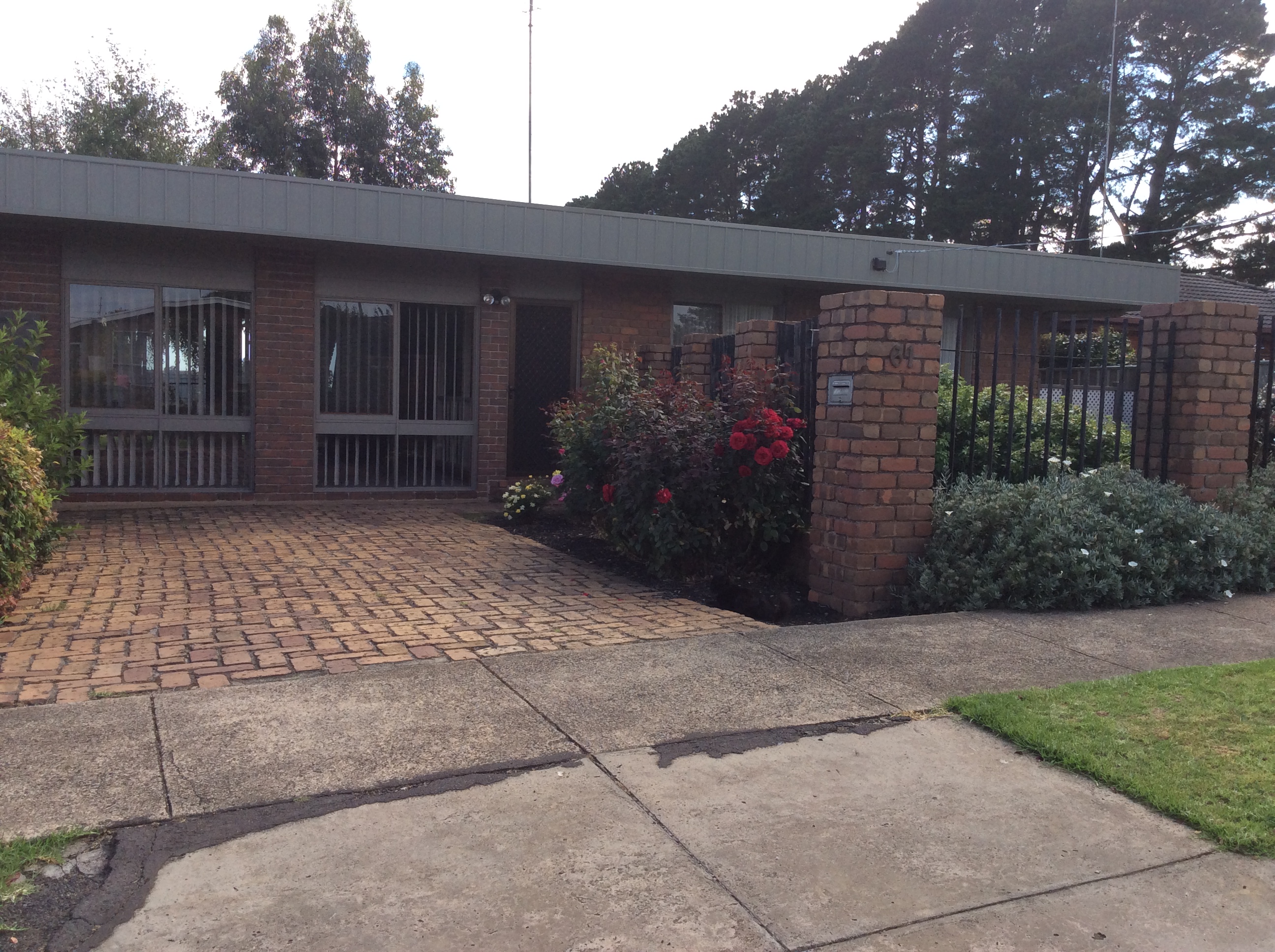 61 STRACHAN STREET, HAMILTON, 3300