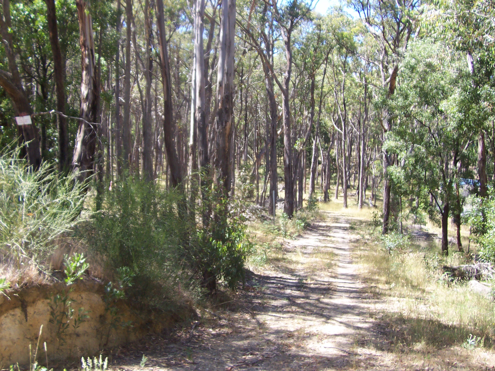 PINE COURT, DALES CREEK, 3341
