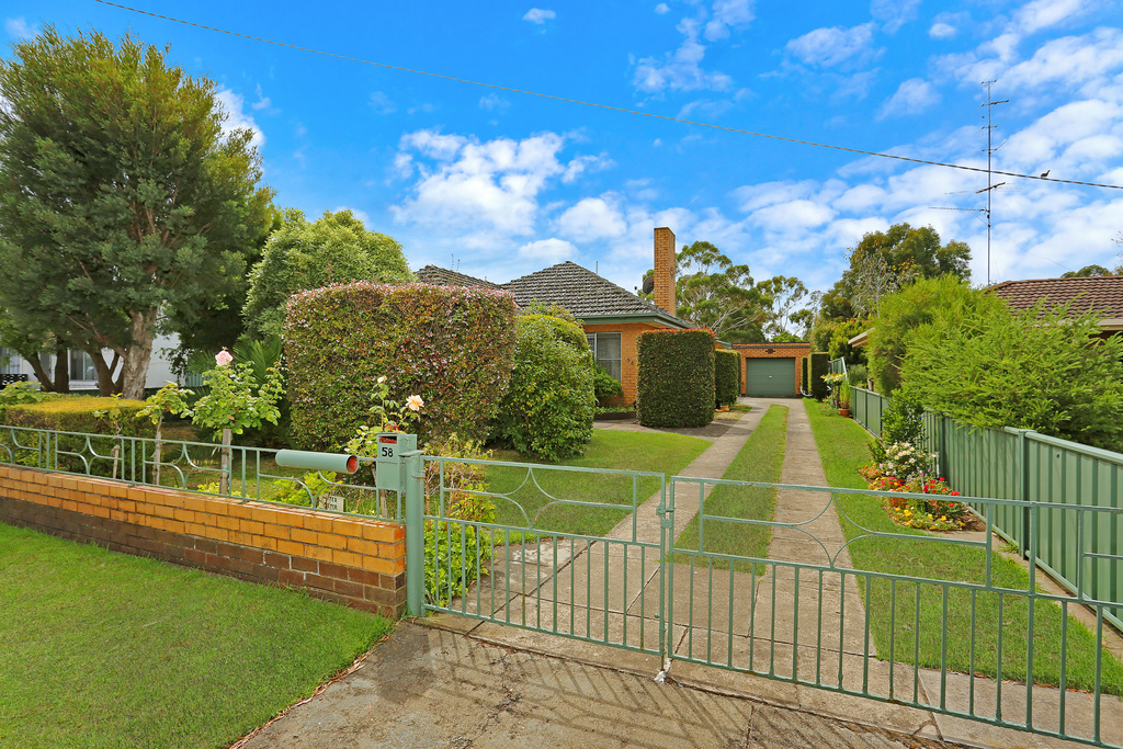 58 HAMMOND STREET, HAMILTON, 3300