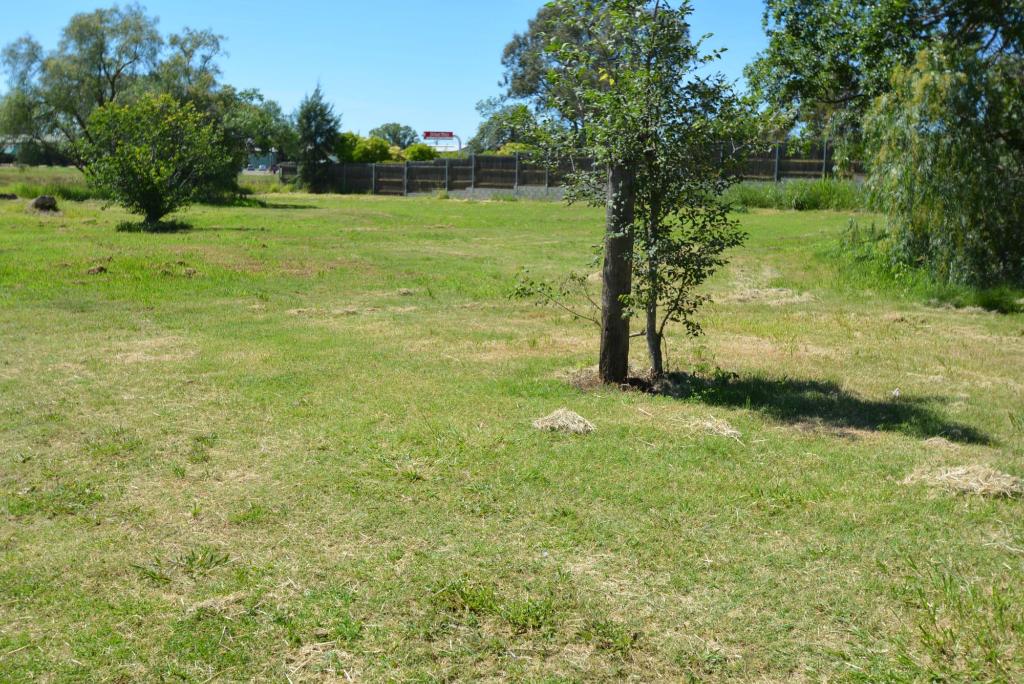 LOT 48 CONDAMINE STREET, WARWICK, 4370