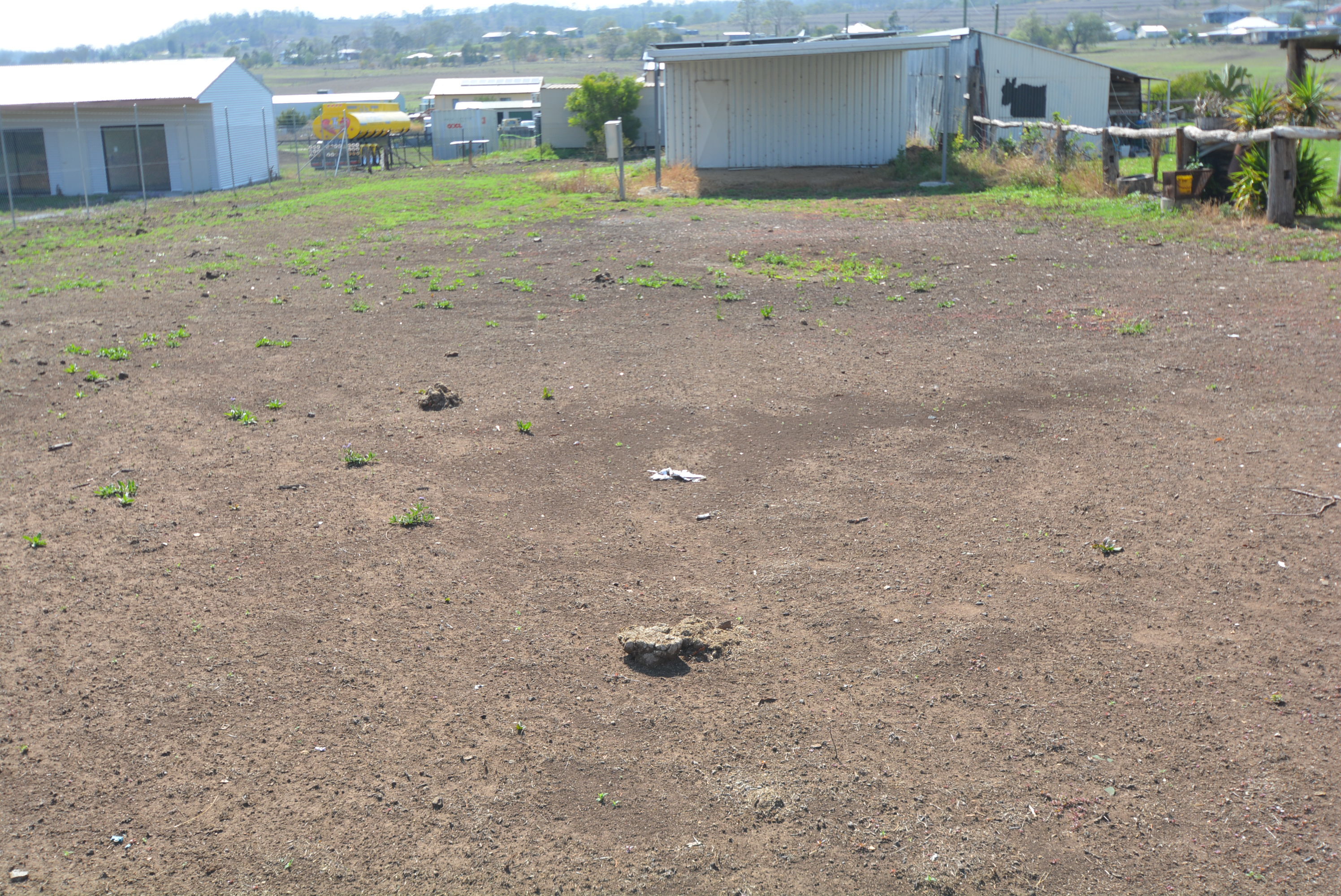 45 TAYLOR STREET, MARYVALE, 4370