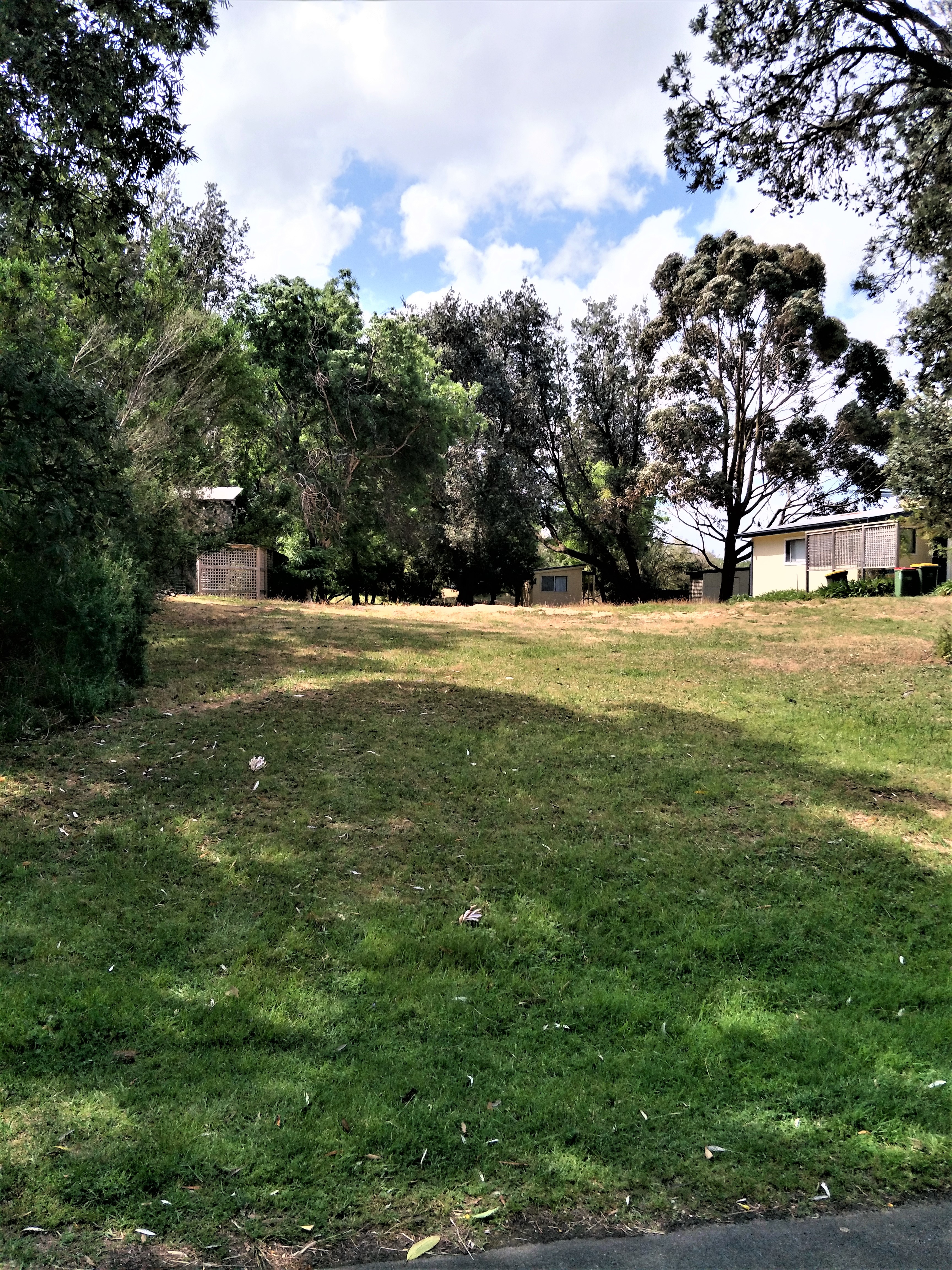 95 SILVERLEAVES AVE, SILVERLEAVES, 3922