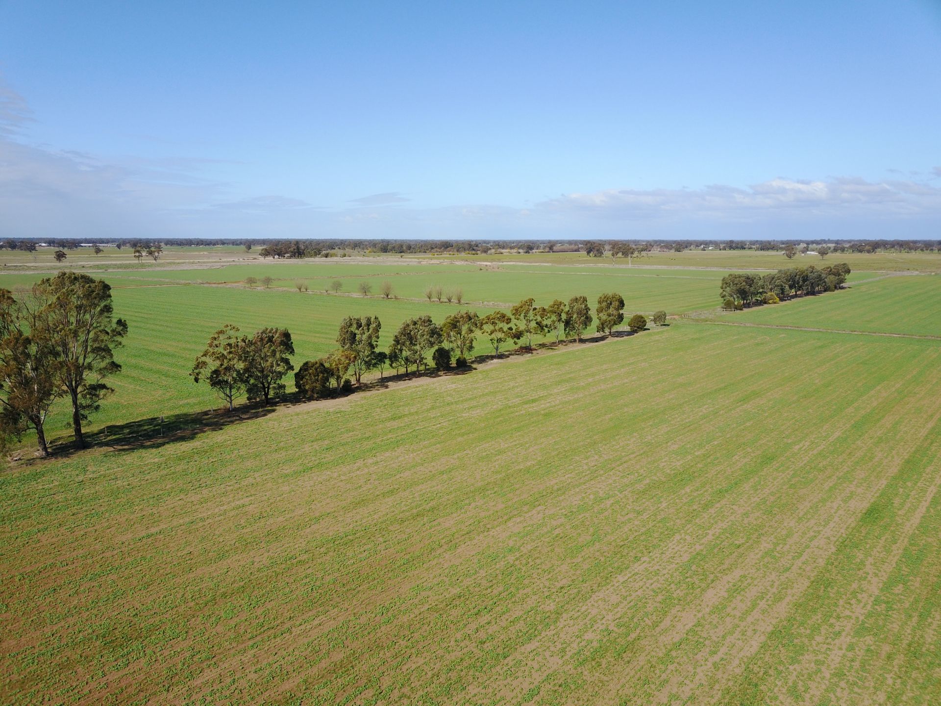 518 COOMBOONA RD, COOMBOONA, 3629