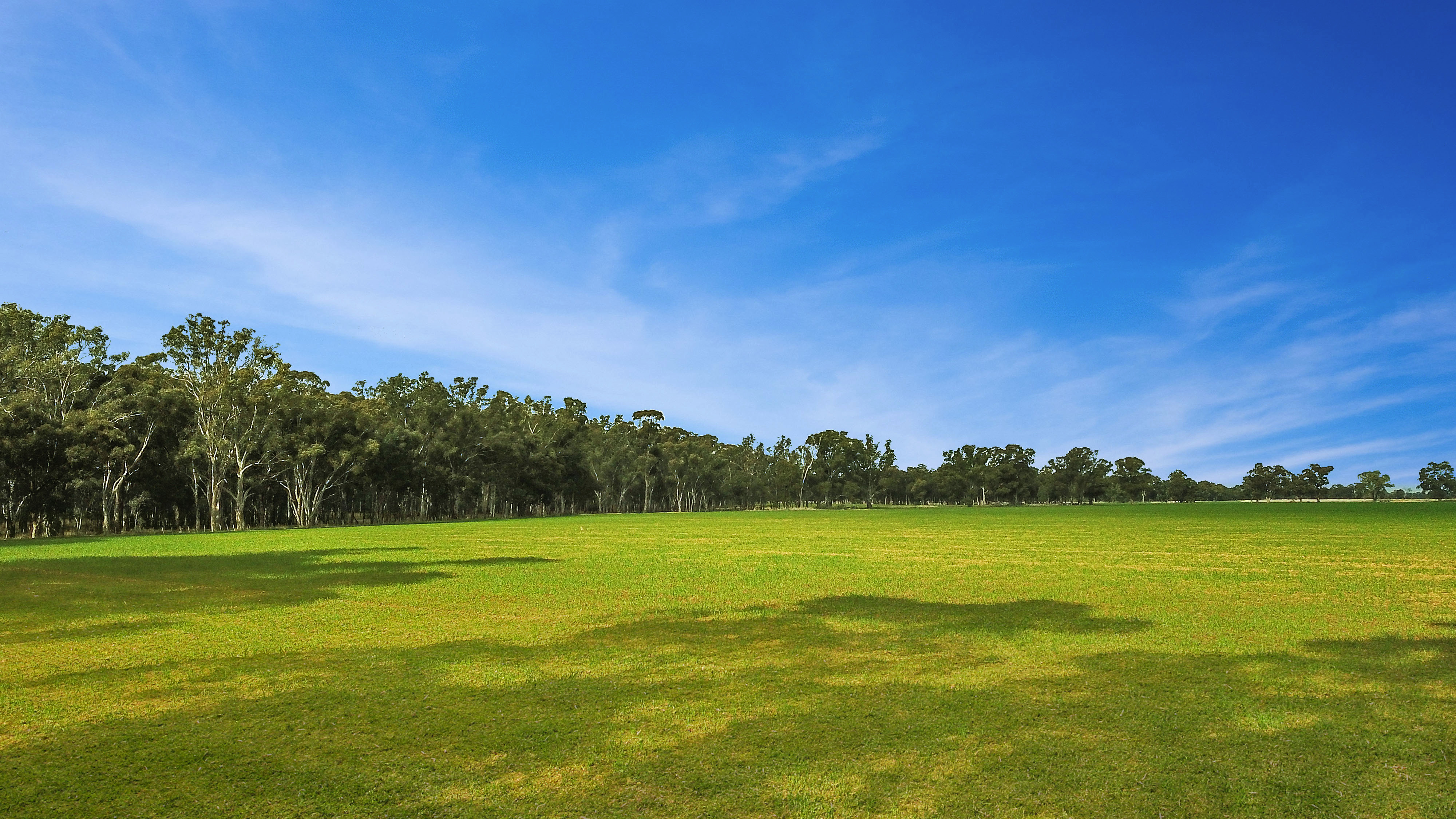 776 COOMBOONA RD, COOMBOONA, 3629