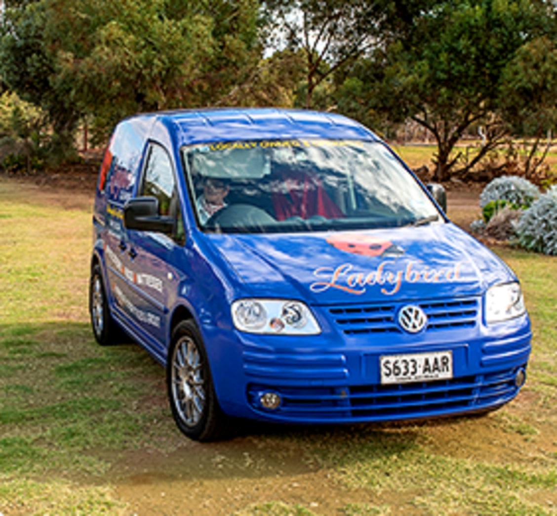 16 RICHARDSON DR, REID, 5118