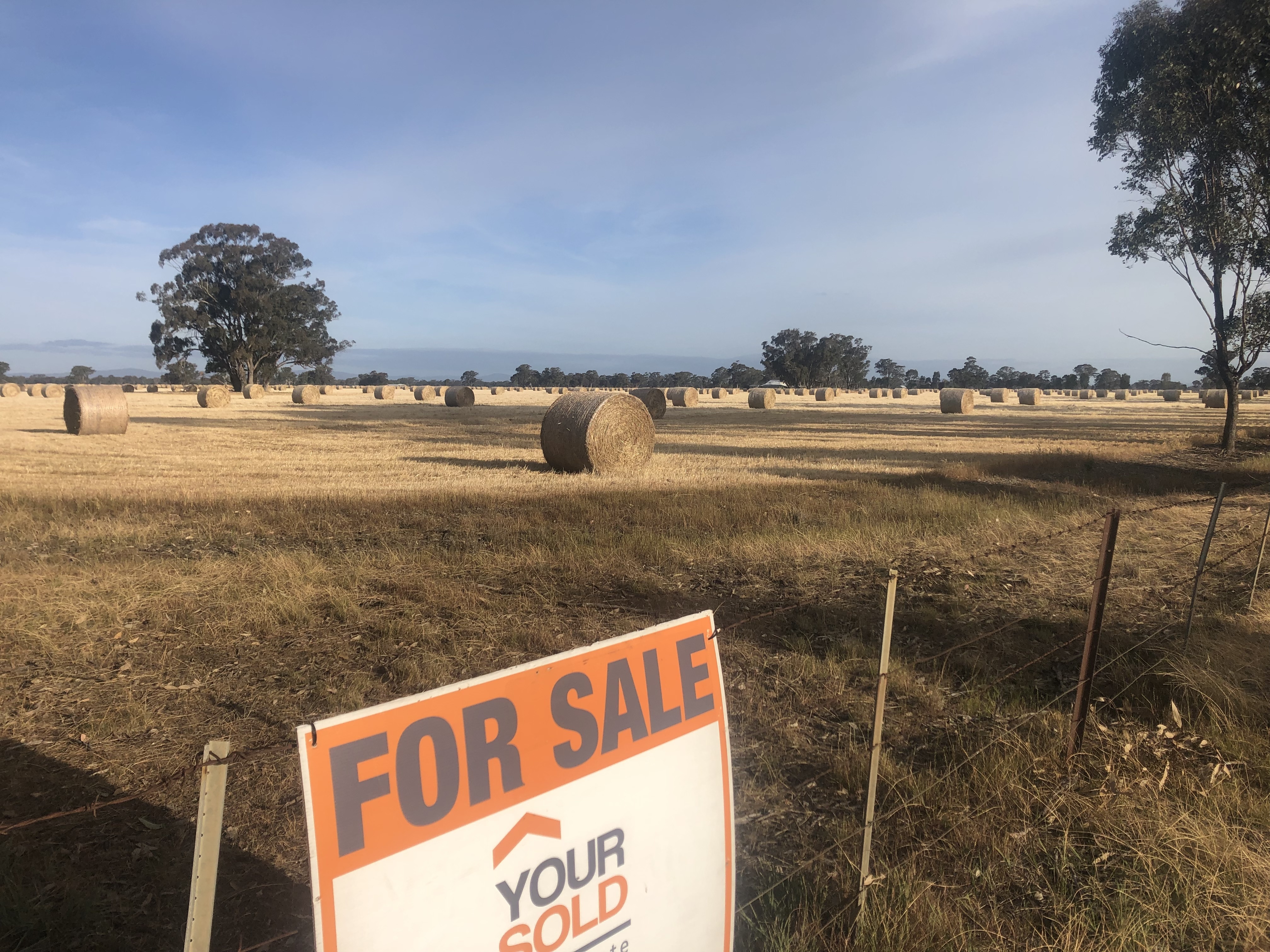 259 GEODETIC ROAD, MIEPOLL, 3666
